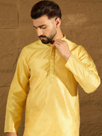 Men Green Polyester Solid Embroidered Straight Kurta-MKU1353
